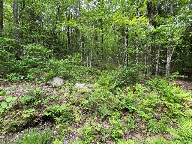 Dole School House Road Washington, NH 03280 - Photo 6 of 13