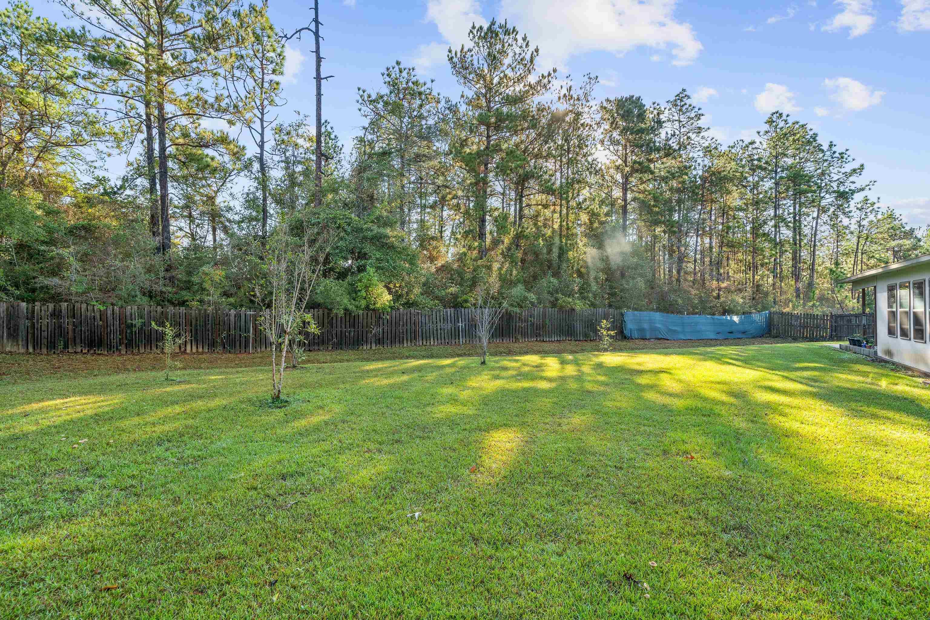 9115 Krystal Ridge Court Daphne, AL 36526 - Photo 33 of 39 Yard