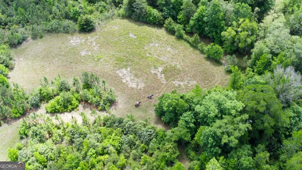 $671,808 | 0 County Road 231, Newville, AL 36353