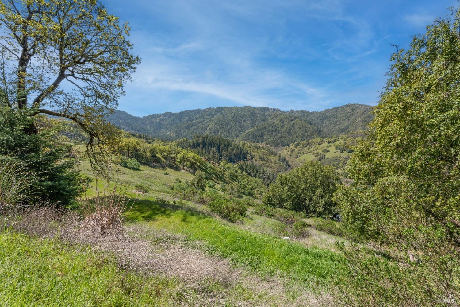 15800 Ridgeview Road Willits, CA 95490 - Photo 6 of 10 Gallery Image 6