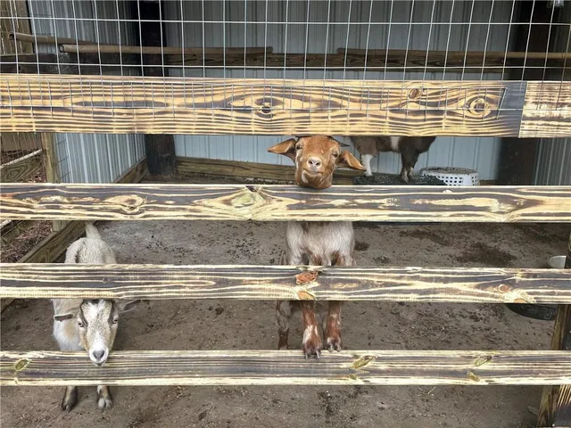 $340,000 | 132 Sydney Summit, Villa Rica, GA 30180