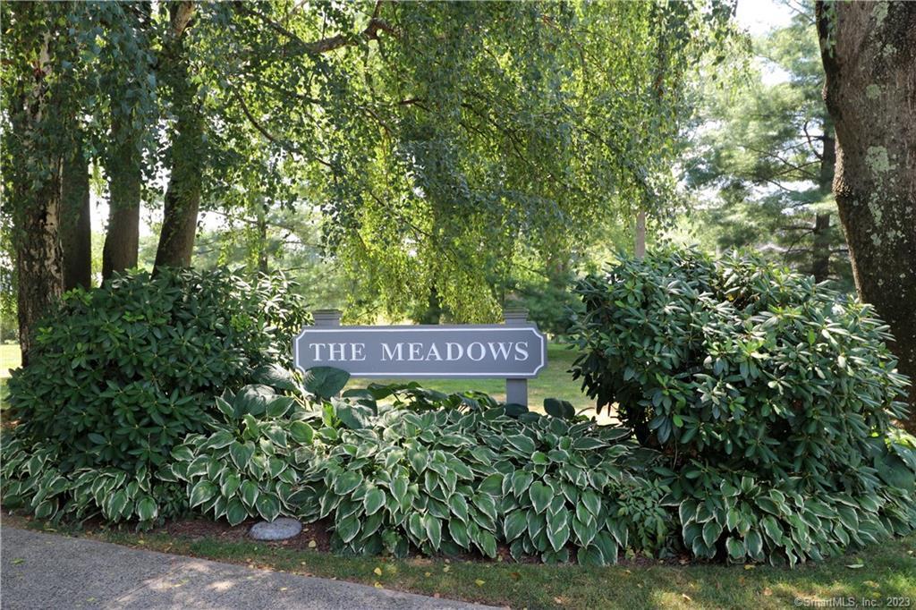 The Meadows Entrance