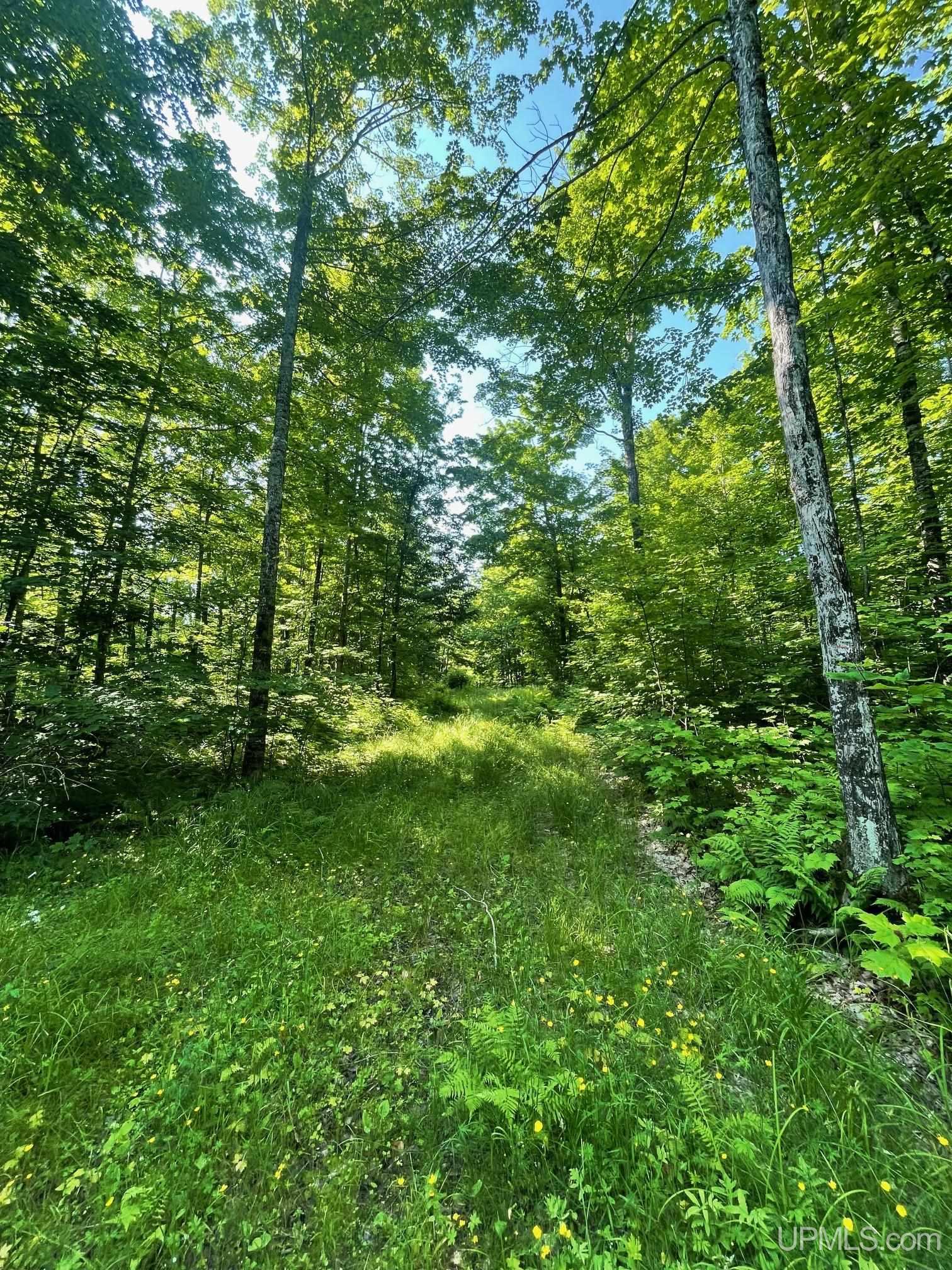 Tbd A Off Gay Road Lake Linden, MI 49945 - Photo 1 of 15