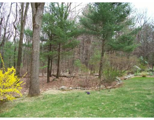21 Turning Mill Road Lexington, MA 02420 - Photo 2 of 9 a backyard of a house with lots of green space
