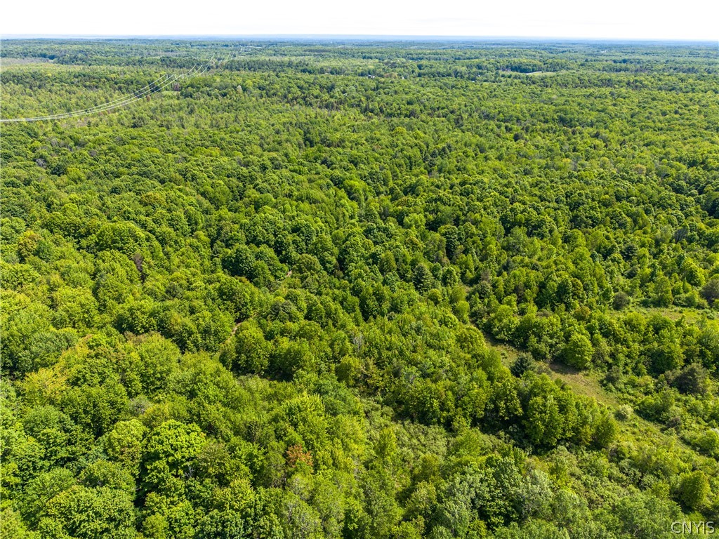 4 County Route Fulton, NY 13069 - Photo 11 of 37