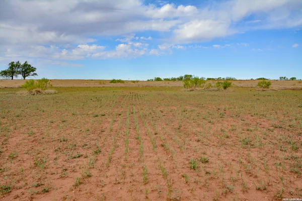 $280,000 | 1 Shamrock Tx 79079, Shamrock, TX 79079