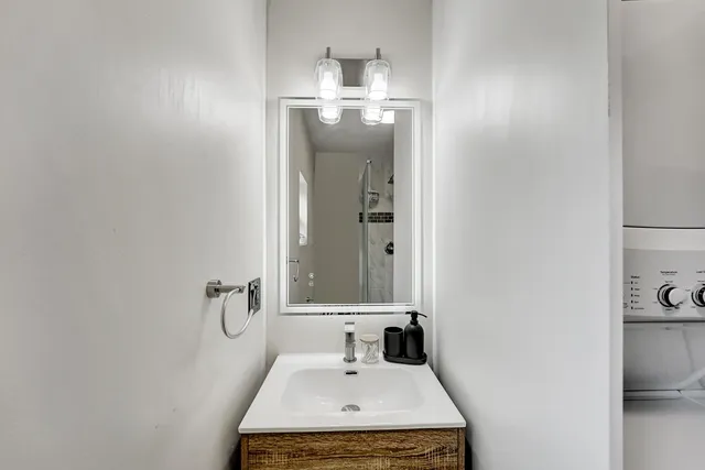 a view of a yard with plants and large trees