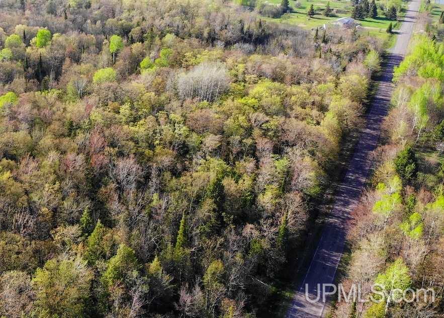 Tbd Rauhala Road, Unit PARCEL 2 Atlantic Mine, MI 49931 - Photo 4 of 19 Gallery Image 4