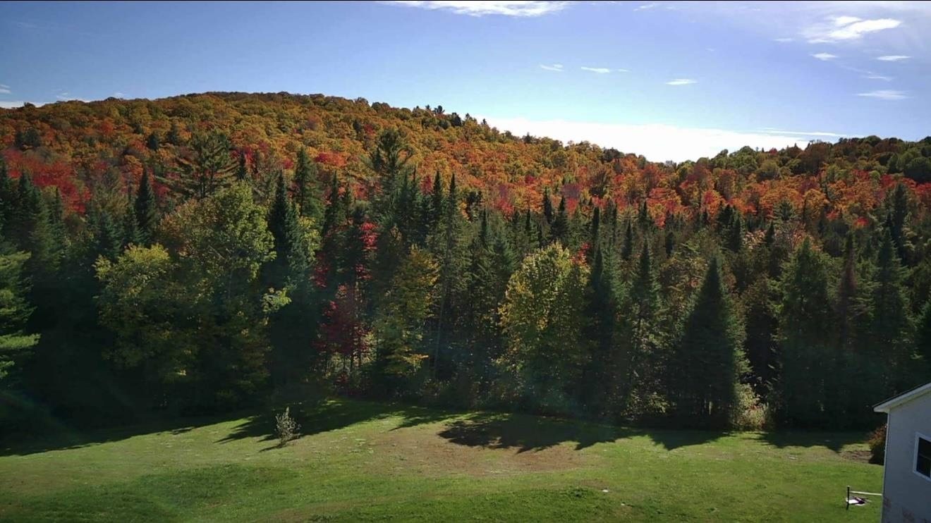 150 Parker Road Danville, VT 05828 - Photo 2 of 5