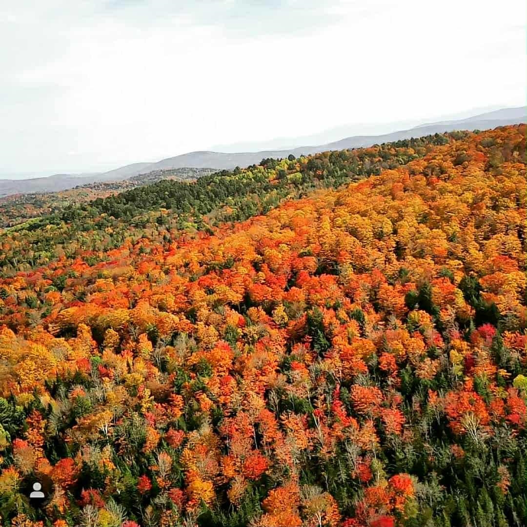 150 Parker Road Danville, VT 05828 - Photo 3 of 5