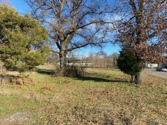$9,500 | 0 First Street/martin Luther King Drive, Hayti, MO 63851