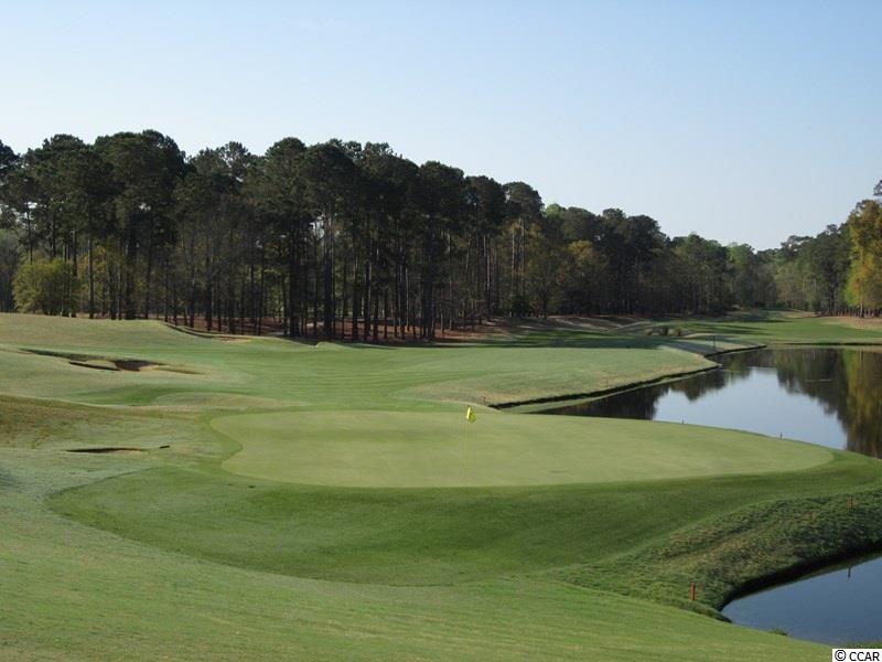 127 Veranda Way, Unit 3F Murrells Inlet, SC 29576 - Photo 25 of 25 Gallery Image 25