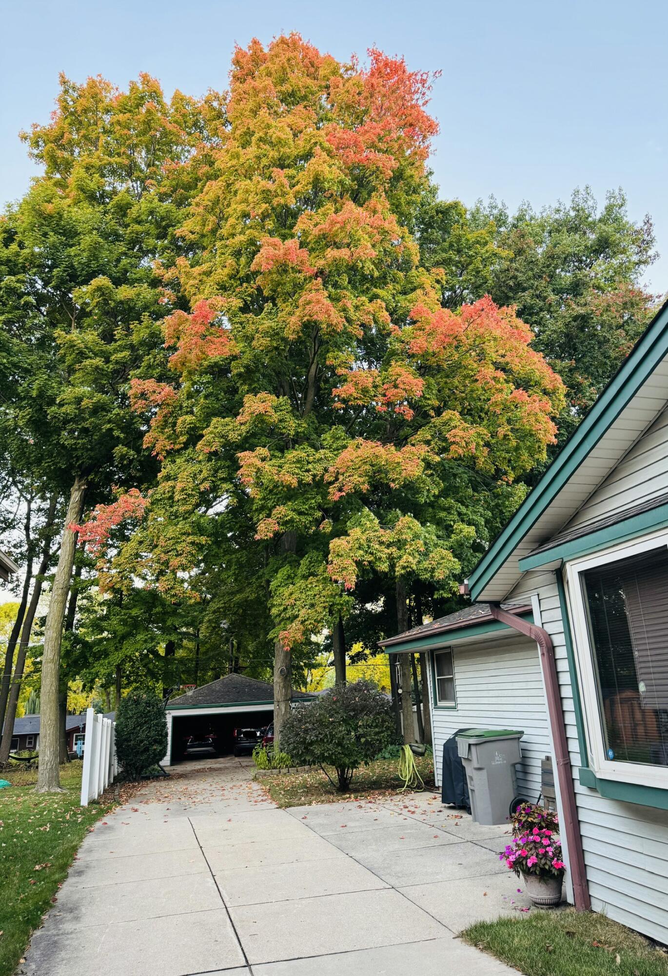 3447 South 93rd Street Milwaukee, WI 53227 - Photo 46 of 46 1000021254