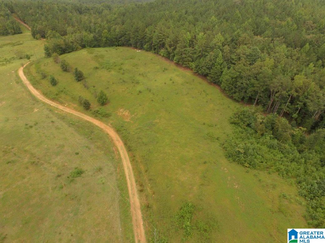 796 Alawashky Road, Unit 46 ACRES Ashland, AL 36251 - Photo 3 of 17
