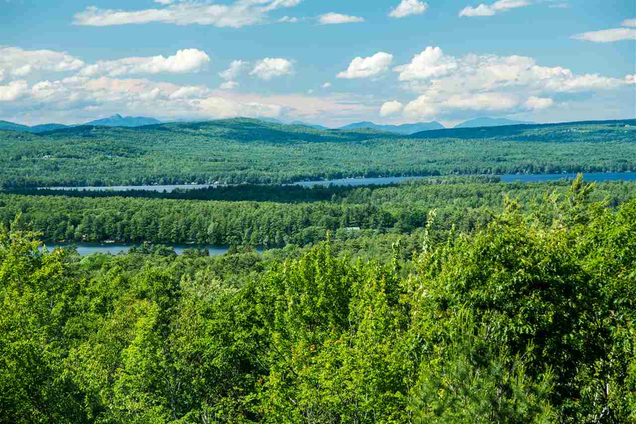 20 Long Stack Lane Wolfeboro, NH 03894 - Photo 3 of 34 Gallery Image 3