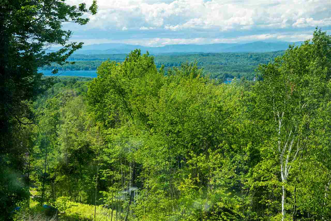 20 Long Stack Lane Wolfeboro, NH 03894 - Photo 33 of 34 Gallery Image 33