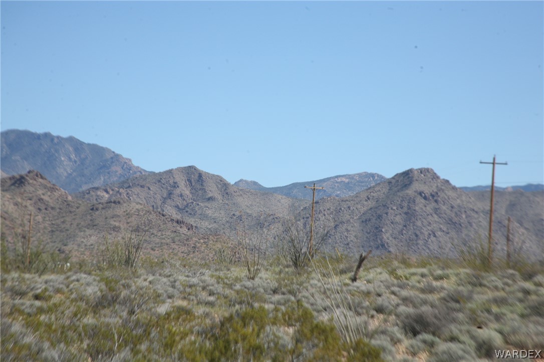208-24-134 Cameron Road Yucca, AZ 86438 - Photo 5 of 86