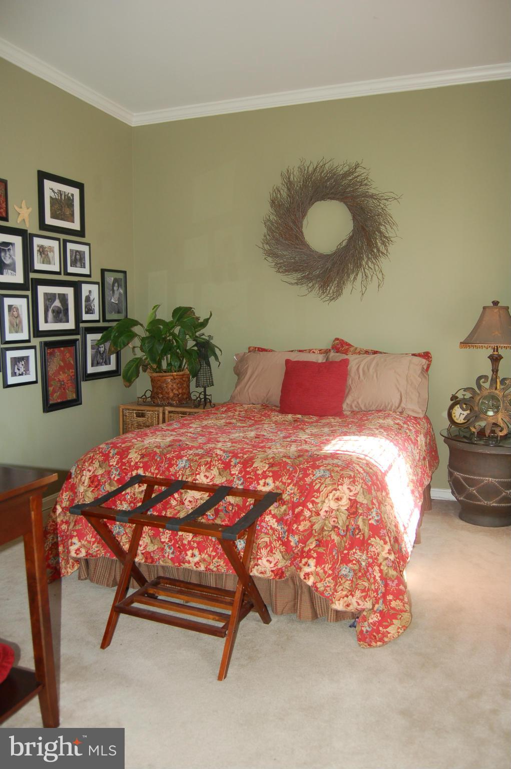 5741 Little Spring Way Frederick, MD 21704 - Photo 12 of 22 Interior (General)
