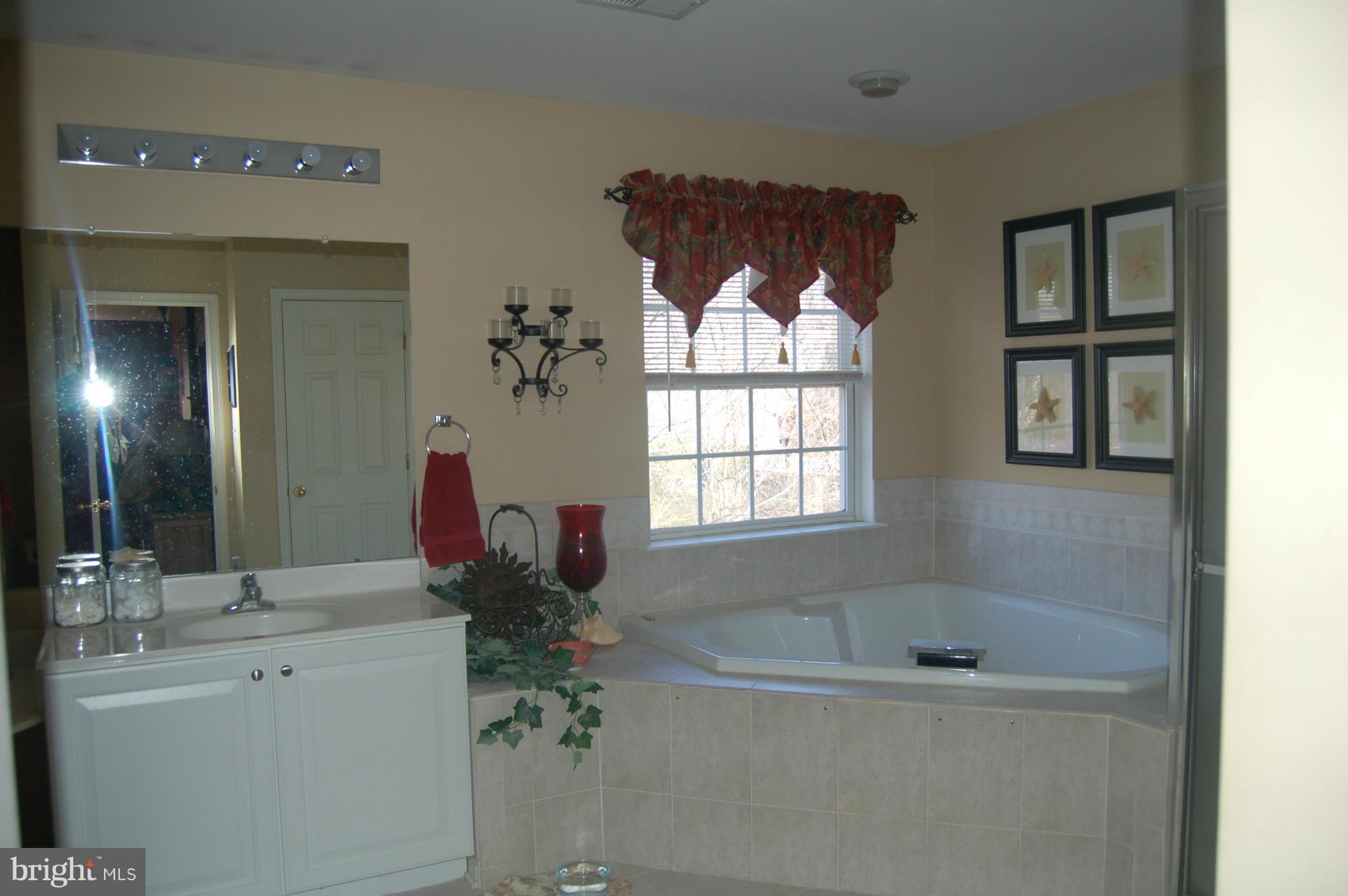 5741 Little Spring Way Frederick, MD 21704 - Photo 16 of 22 Bath (Master)