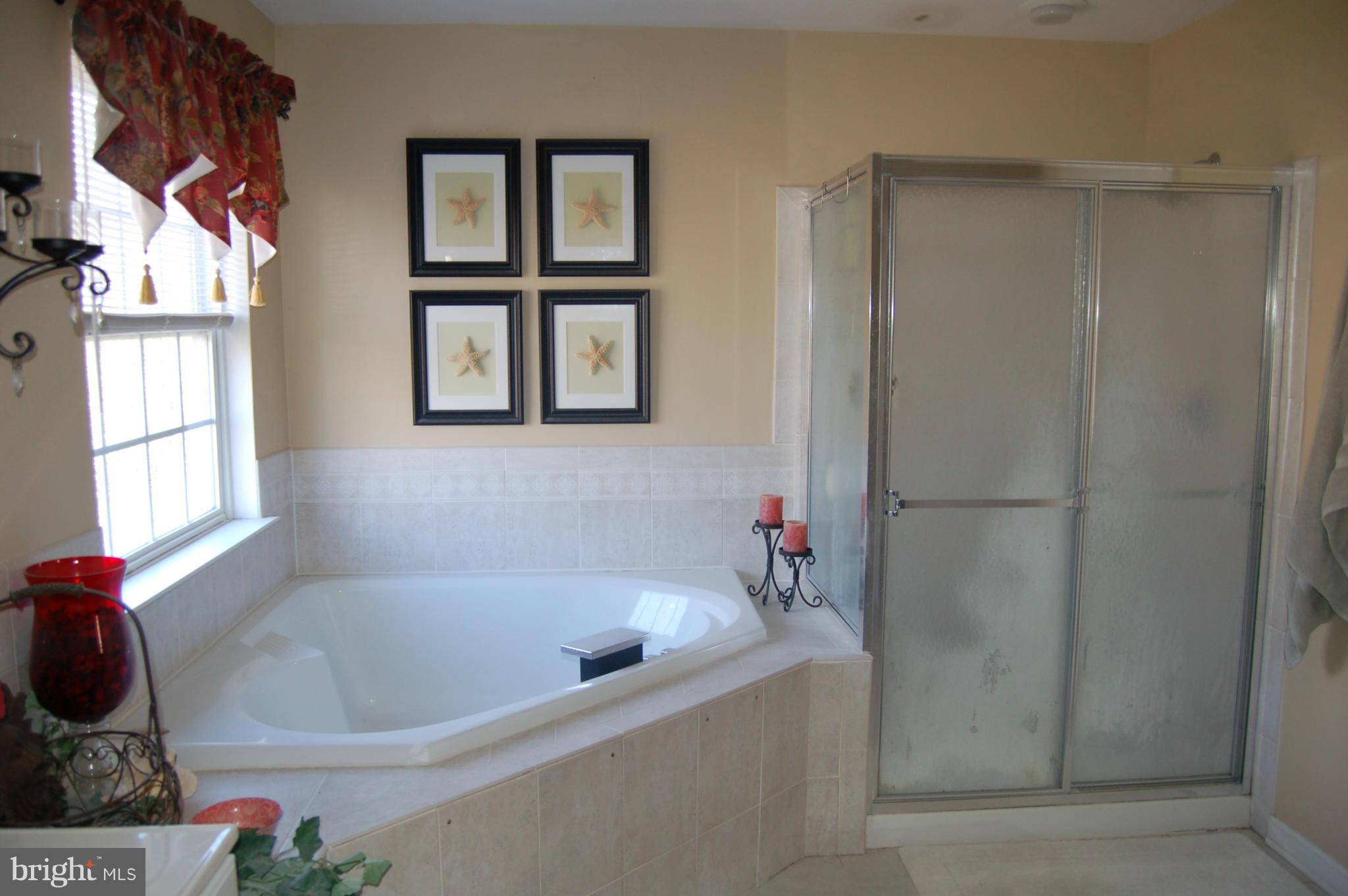 5741 Little Spring Way Frederick, MD 21704 - Photo 17 of 22 Bath (Master)