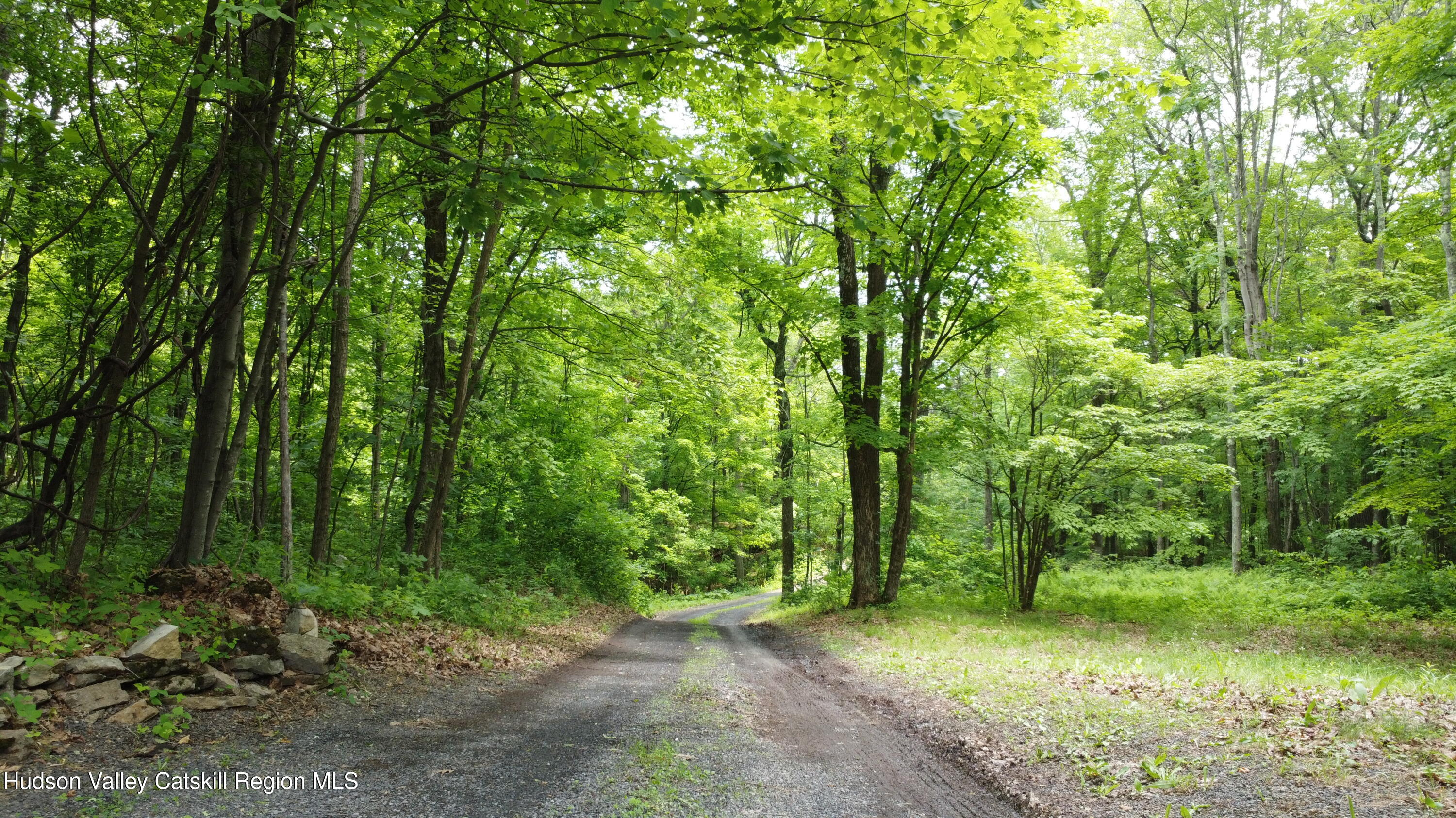 173 Valley Road Catskill, NY 12414 - Photo 3 of 33 #3