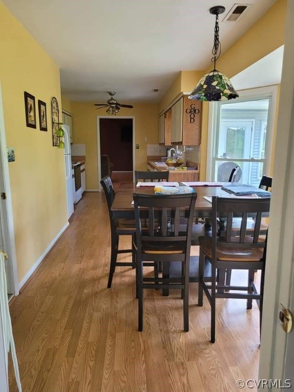 571 Freemans Pond Road Wakefield, VA 23888 - Photo 8 of 16