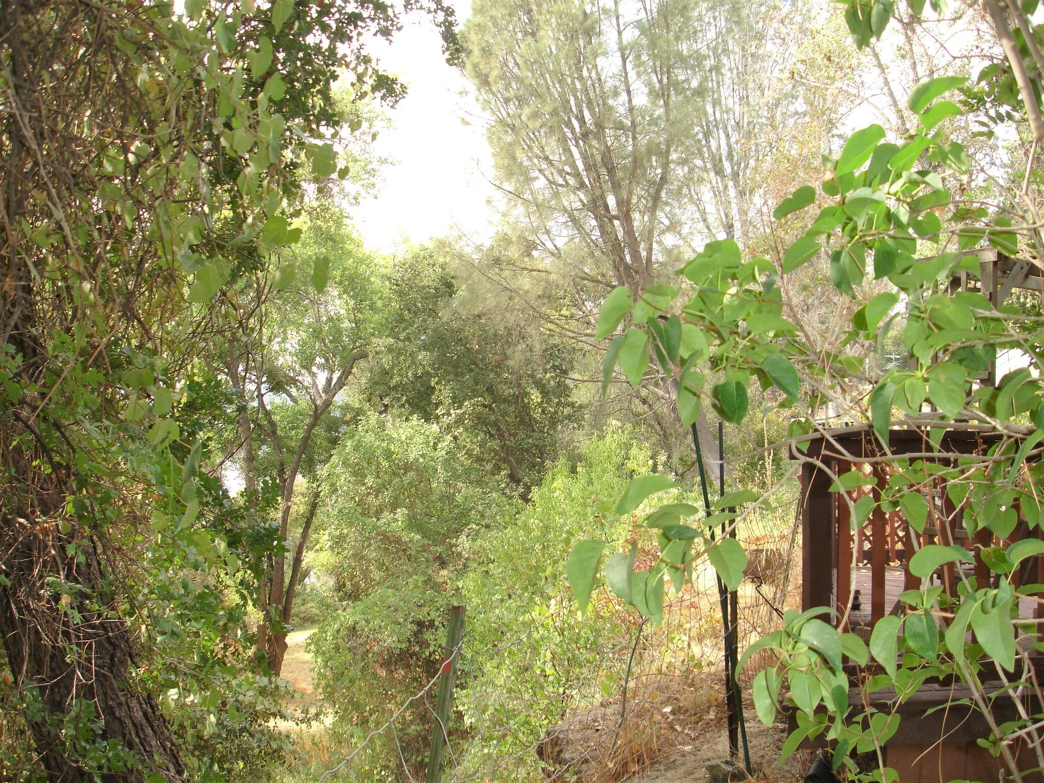 21795 Bend Ferry Road, Unit 4 Red Bluff, CA 96080 - Photo 35 of 65 DSC03843