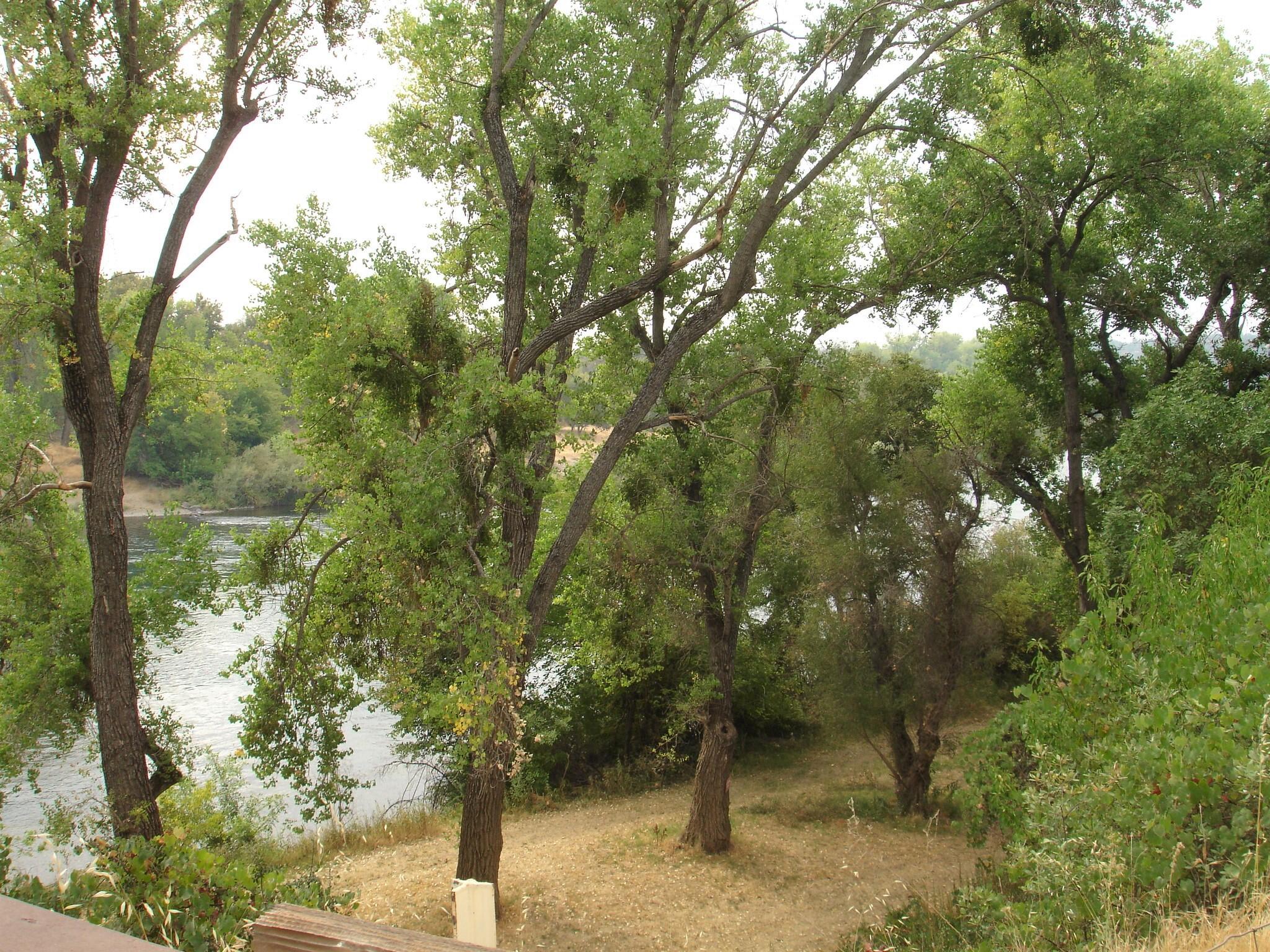 21795 Bend Ferry Road, Unit 4 Red Bluff, CA 96080 - Photo 41 of 65 DSC03849