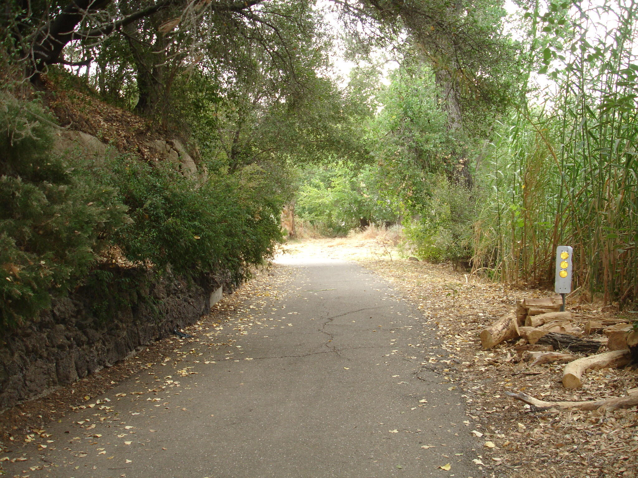 21795 Bend Ferry Road, Unit 4 Red Bluff, CA 96080 - Photo 47 of 65 DSC03855