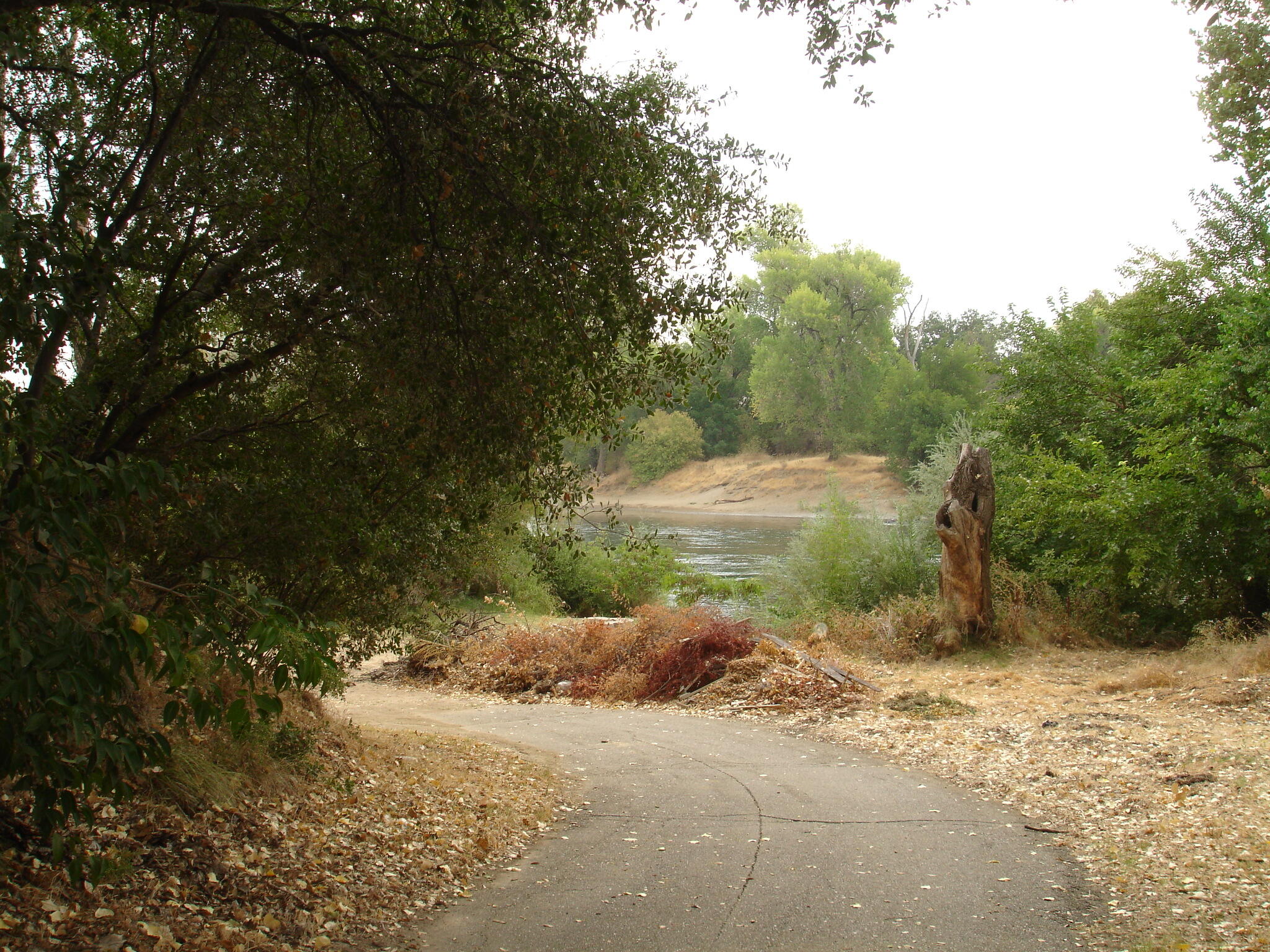 21795 Bend Ferry Road, Unit 4 Red Bluff, CA 96080 - Photo 48 of 65 DSC03856