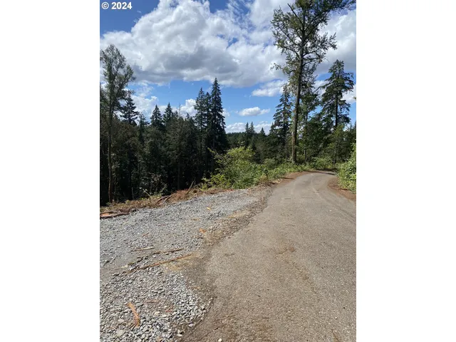 a view of a yard with a trees