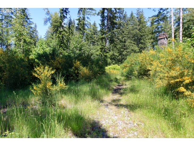 South Hult Road Beavercreek, OR 97004 - Photo 14 of 30