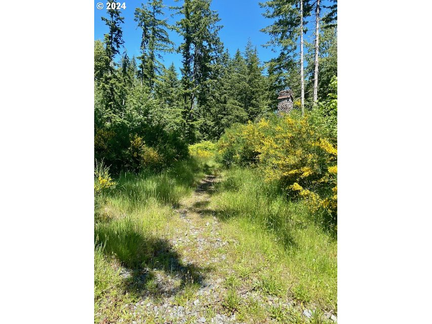 South Hult Road Beavercreek, OR 97004 - Photo 17 of 30 a view of a garden from a lake view