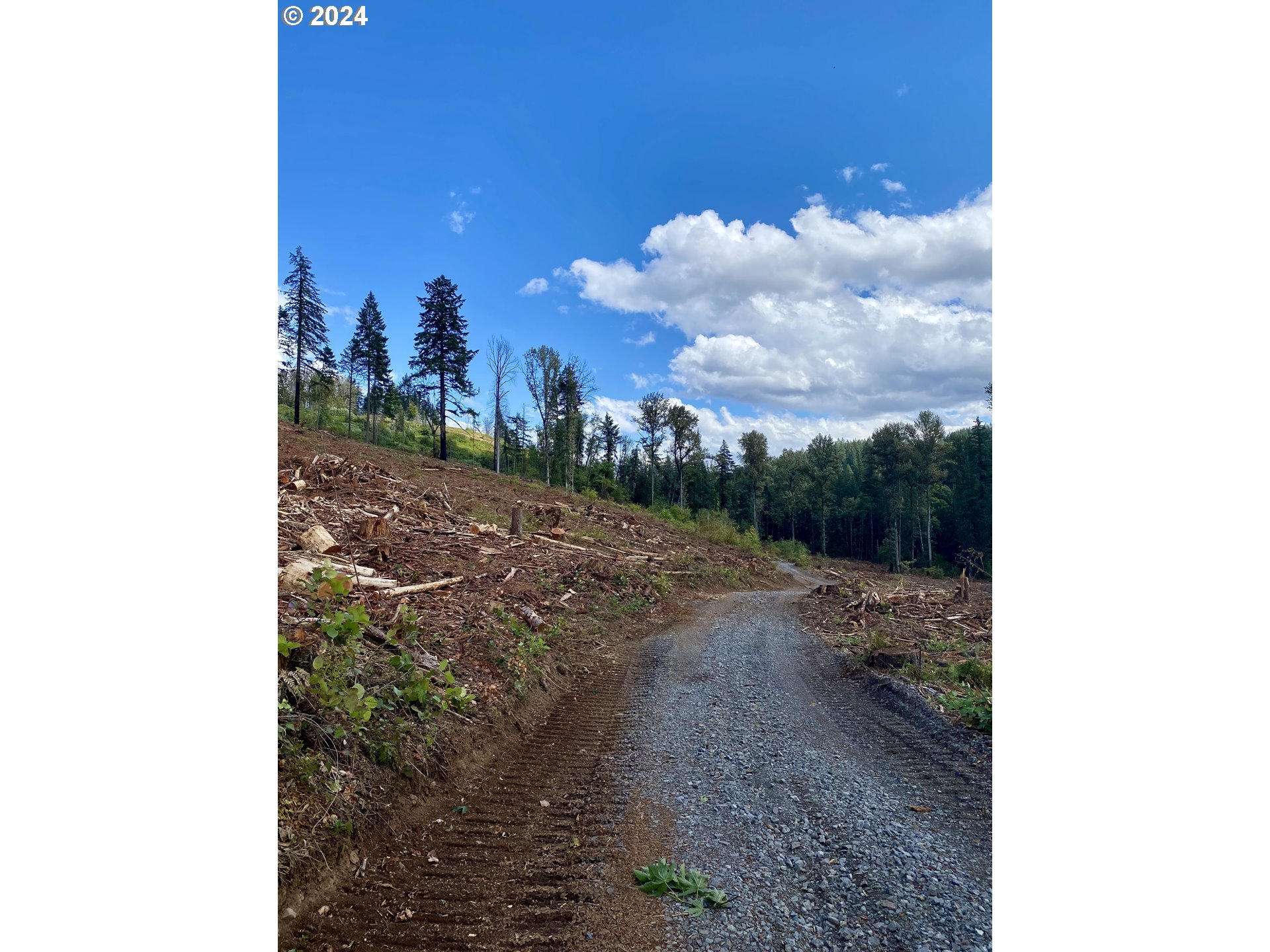 South Hult Road Beavercreek, OR 97004 - Photo 2 of 30 a view of a dry yard with wooden fence