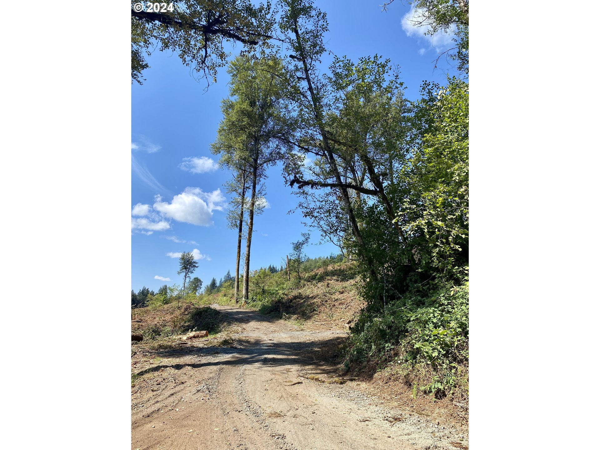 South Hult Road Beavercreek, OR 97004 - Photo 22 of 30 a view of a backyard