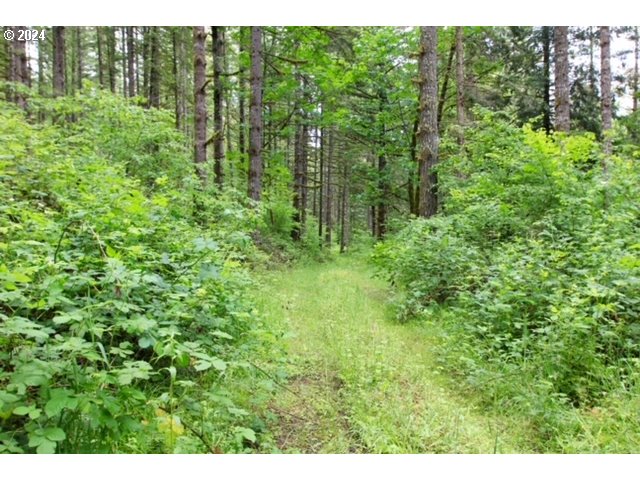 South Hult Road Beavercreek, OR 97004 - Photo 23 of 30 a view of outdoor space and green space