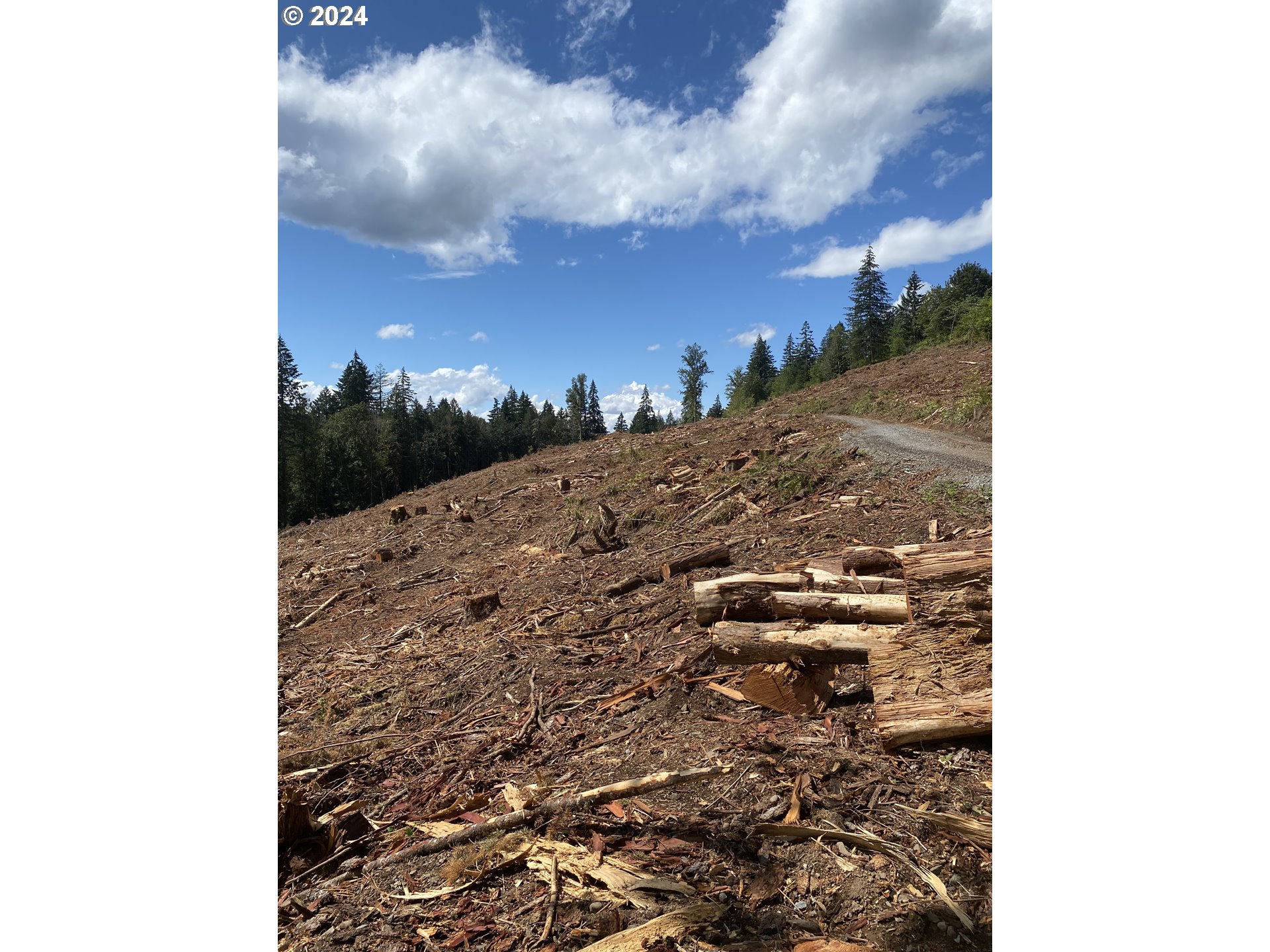 South Hult Road Beavercreek, OR 97004 - Photo 7 of 30 a view of a backyard of the house