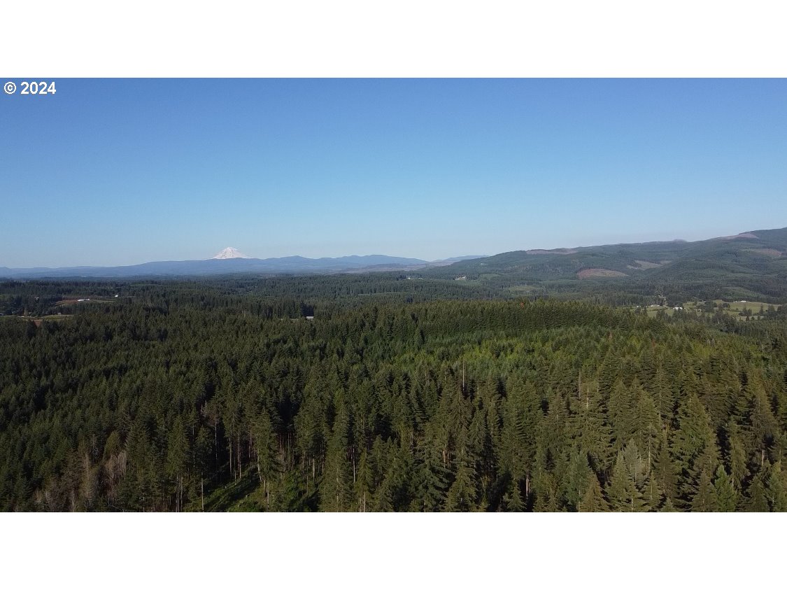 South Hult Road Beavercreek, OR 97004 - Photo 10 of 30 a black and white photo of a forest