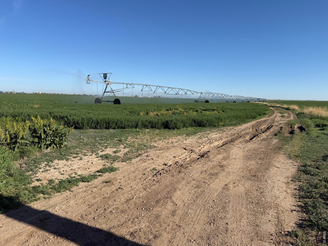 70 County Road Eaton, CO 80615 - Photo 8 of 17
