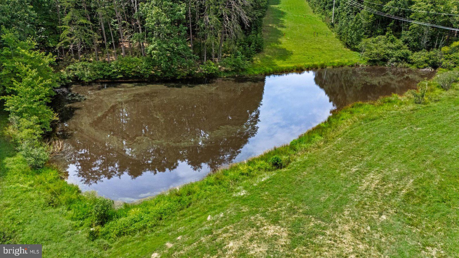 31934 Indiantown Road Locust Grove, VA 22508 - Photo 67 of 84 Pond and pastures