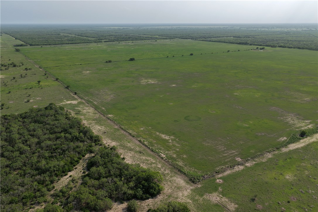 0 Fm 1352 Alice, TX 78332 - Photo 4 of 9 a view of a field with an ocean beach