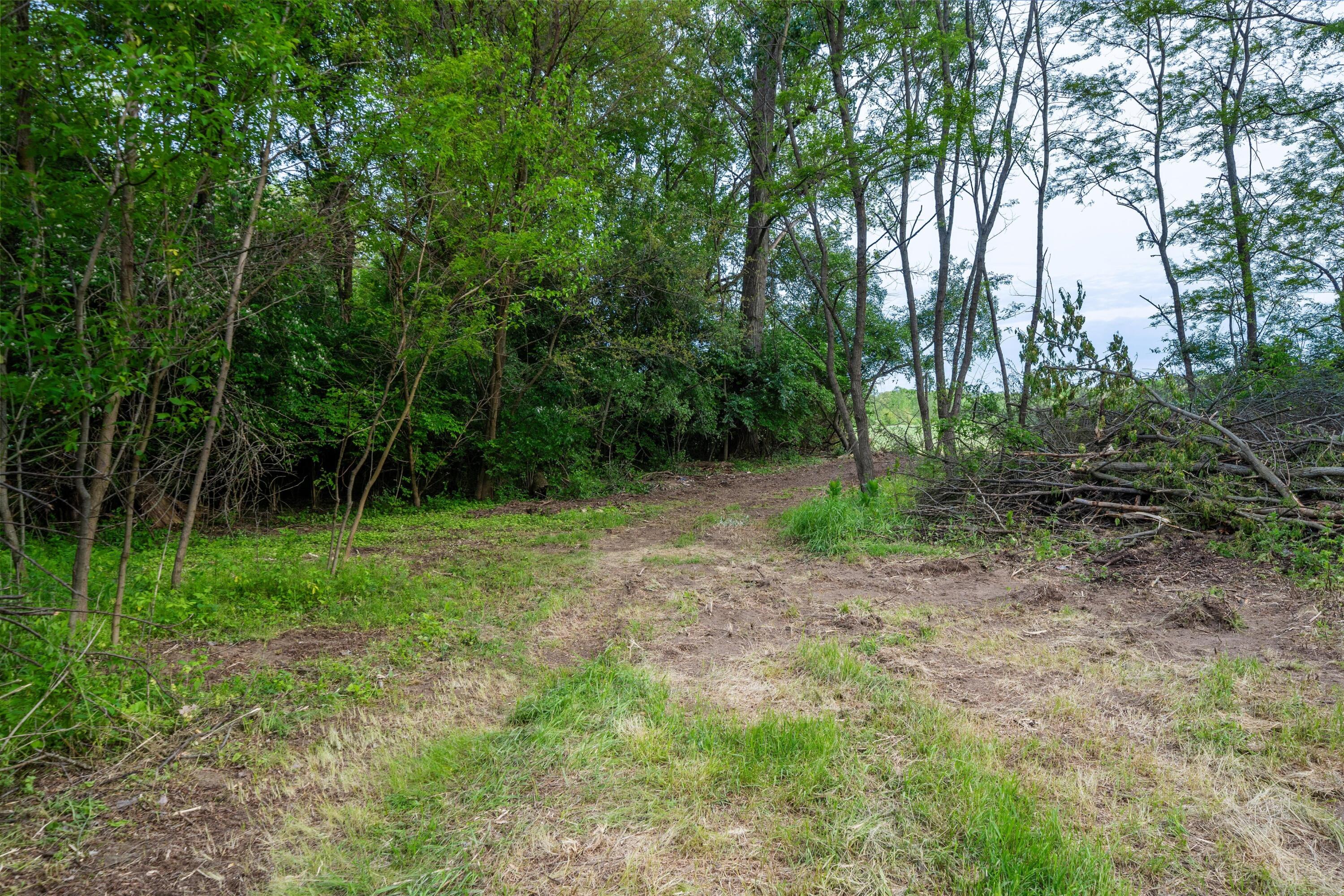 0 Jewell Road Milan, MI 48160 - Photo 61 of 63 61-DSC02367