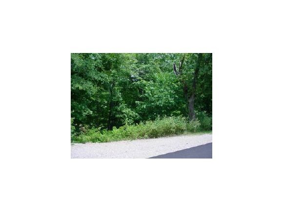 Lot 13 Silverwood Branson Reeds Spring, MO 65737 - Photo 1 of 1 Primary Photo