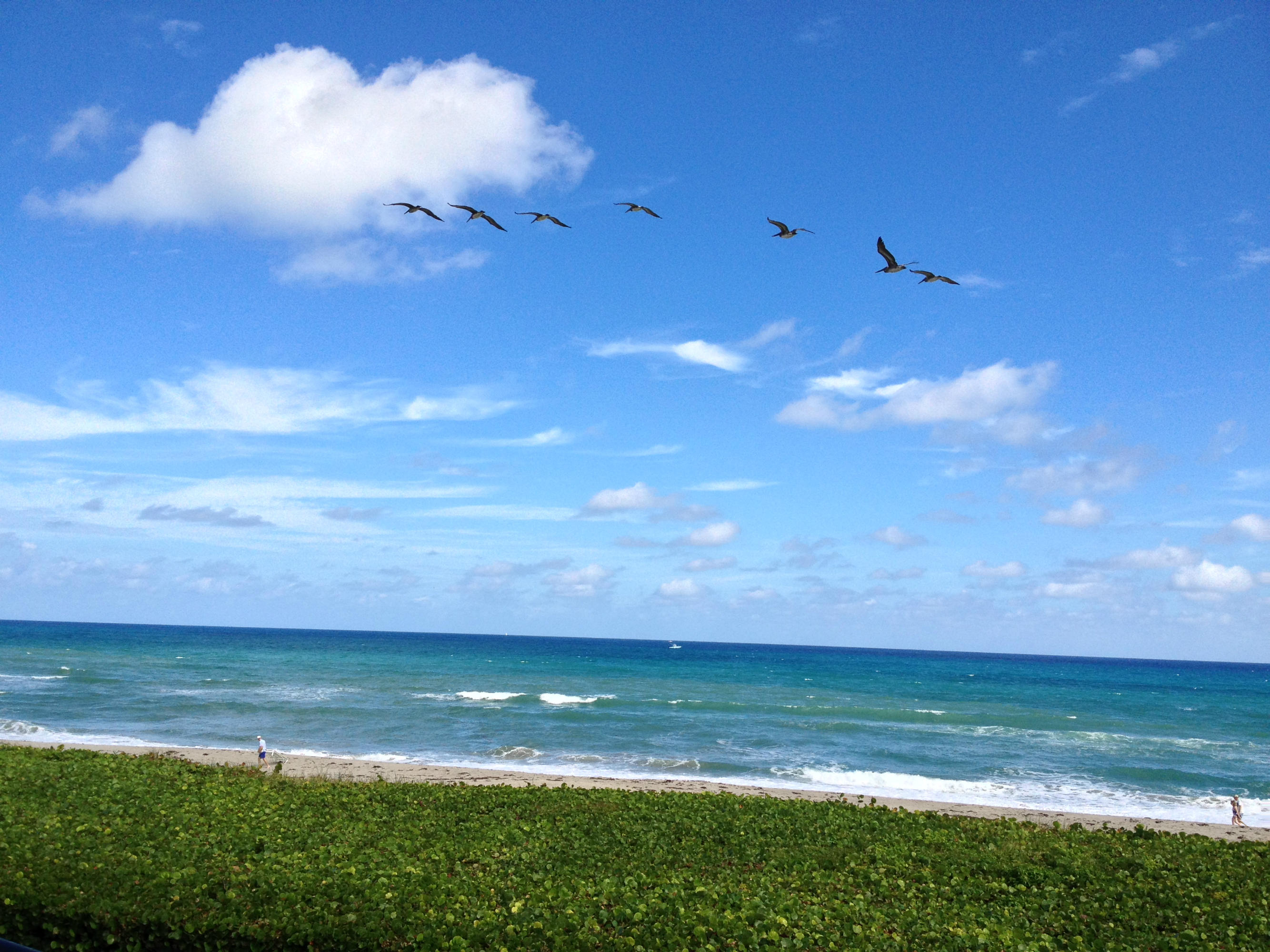 170 Celestial Way, Unit 46 Juno Beach, FL 33408 - Photo 25 of 33 a view of an ocean and a yard