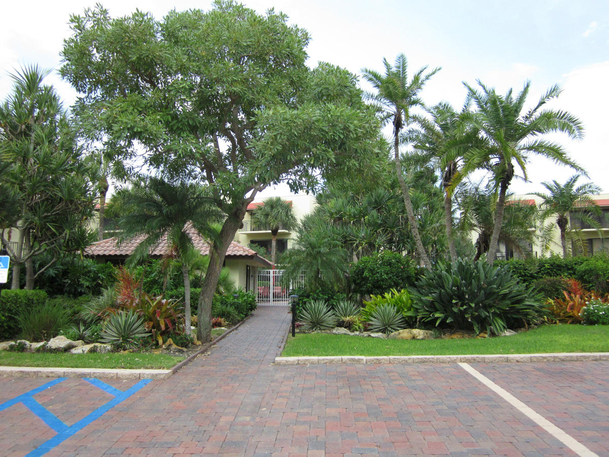170 Celestial Way, Unit 46 Juno Beach, FL 33408 - Photo 29 of 33 a view of a garden with plants