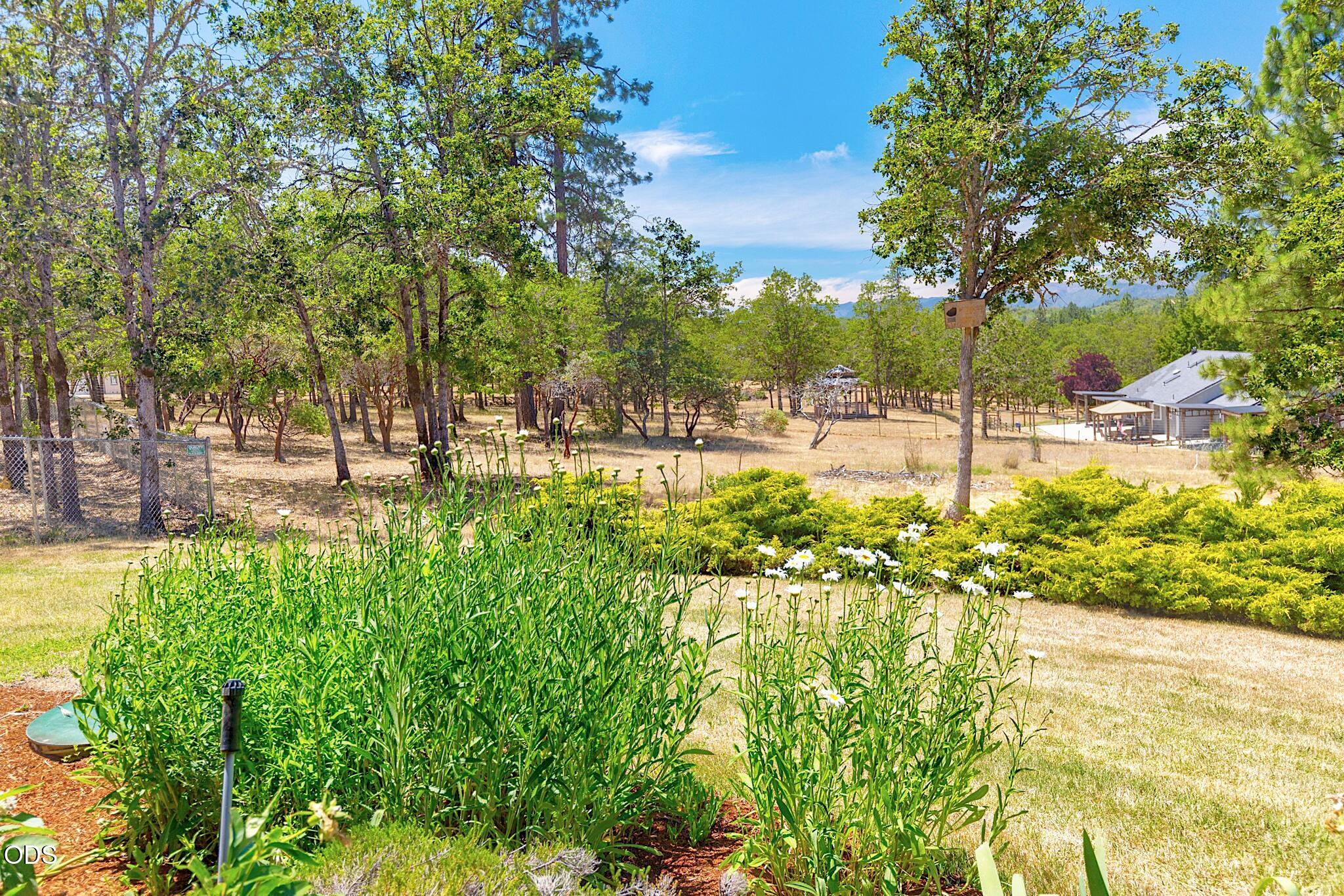 371 Castle Creek Road Grants Pass, OR 97526 - Photo 16 of 71 Gallery Image 16