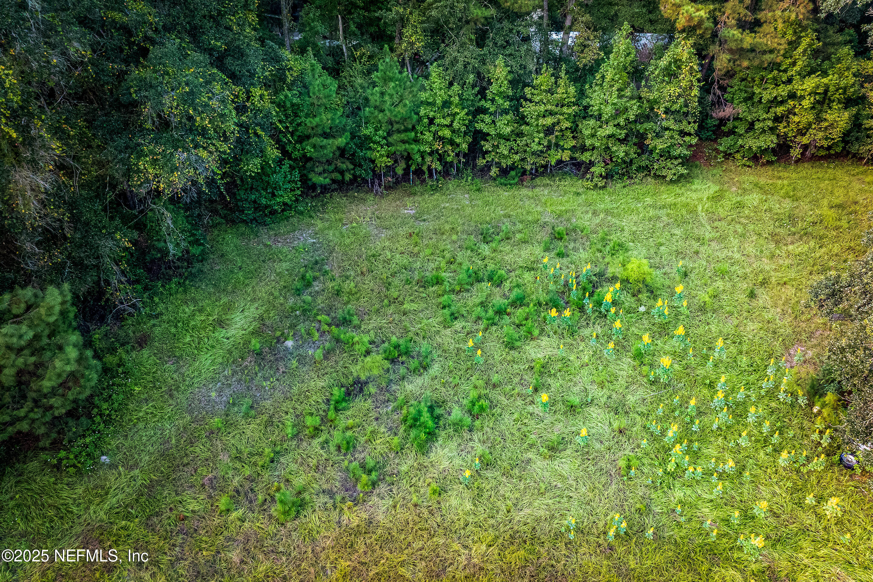 6300 J & M Ranch Road Macclenny, FL 32063 - Photo 15 of 32 ZJP - JMR -15