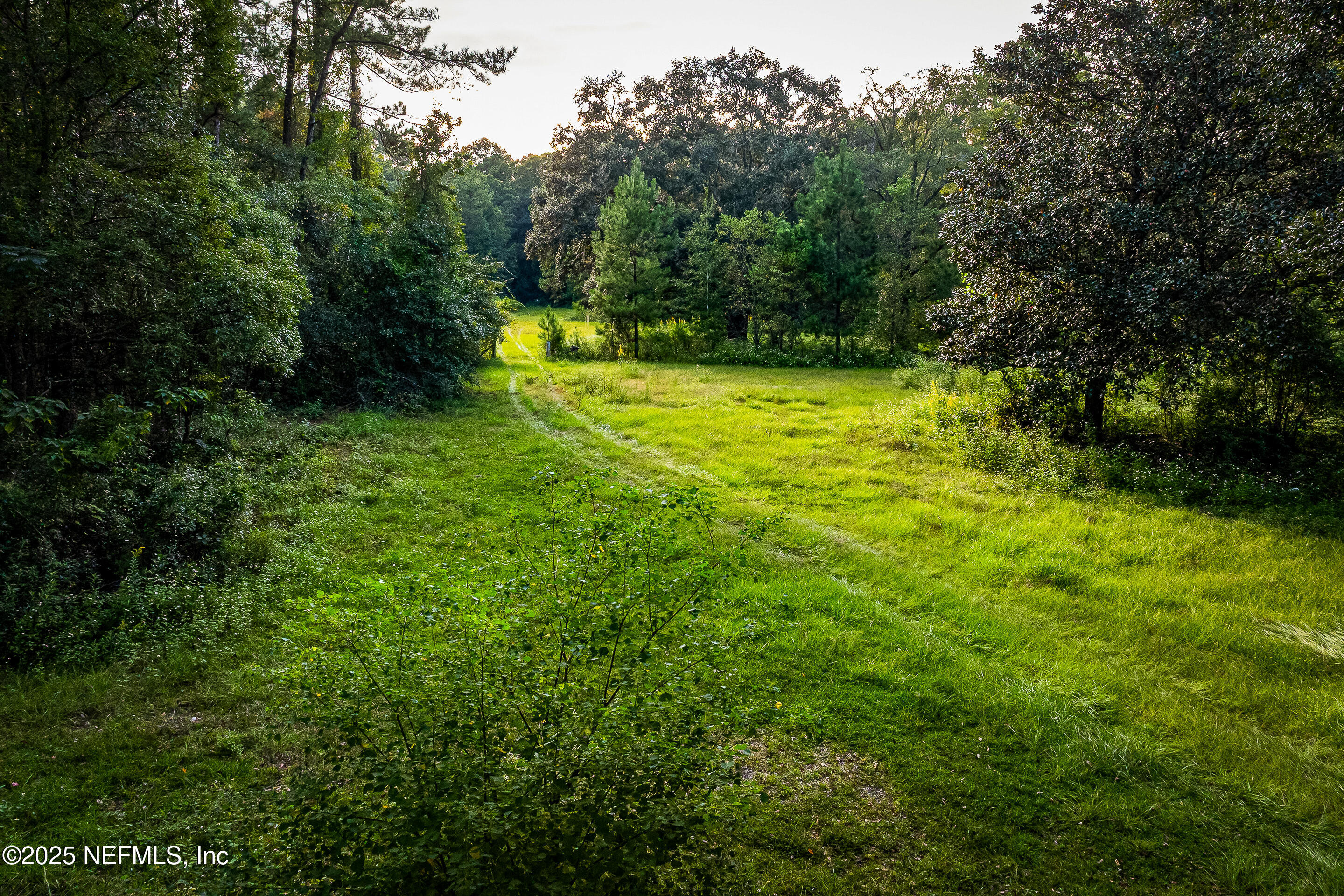 6300 J & M Ranch Road Macclenny, FL 32063 - Photo 22 of 32 ZJP - JMR -22