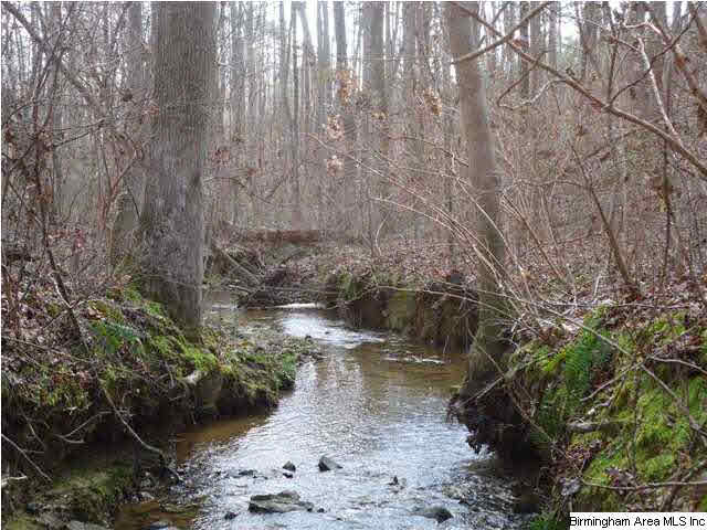 Loop Road Steele, AL 35987 - Photo 1 of 17