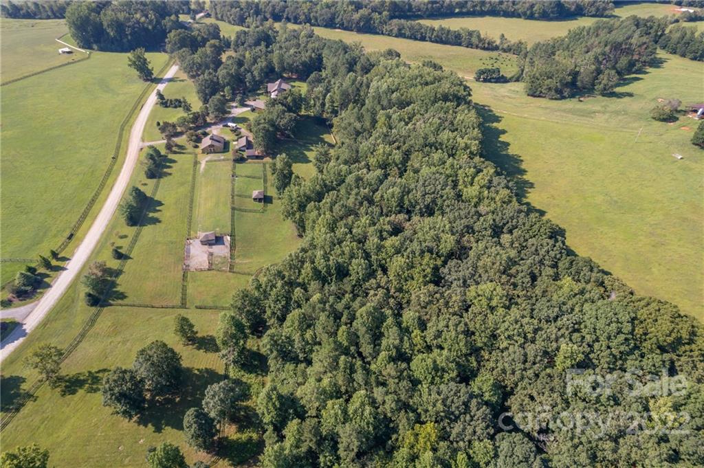 1360 South Phillips Road Columbus, NC 28722 - Photo 4 of 41 a view of a garden